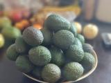 Haufen von Avocados