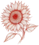 jneidel
